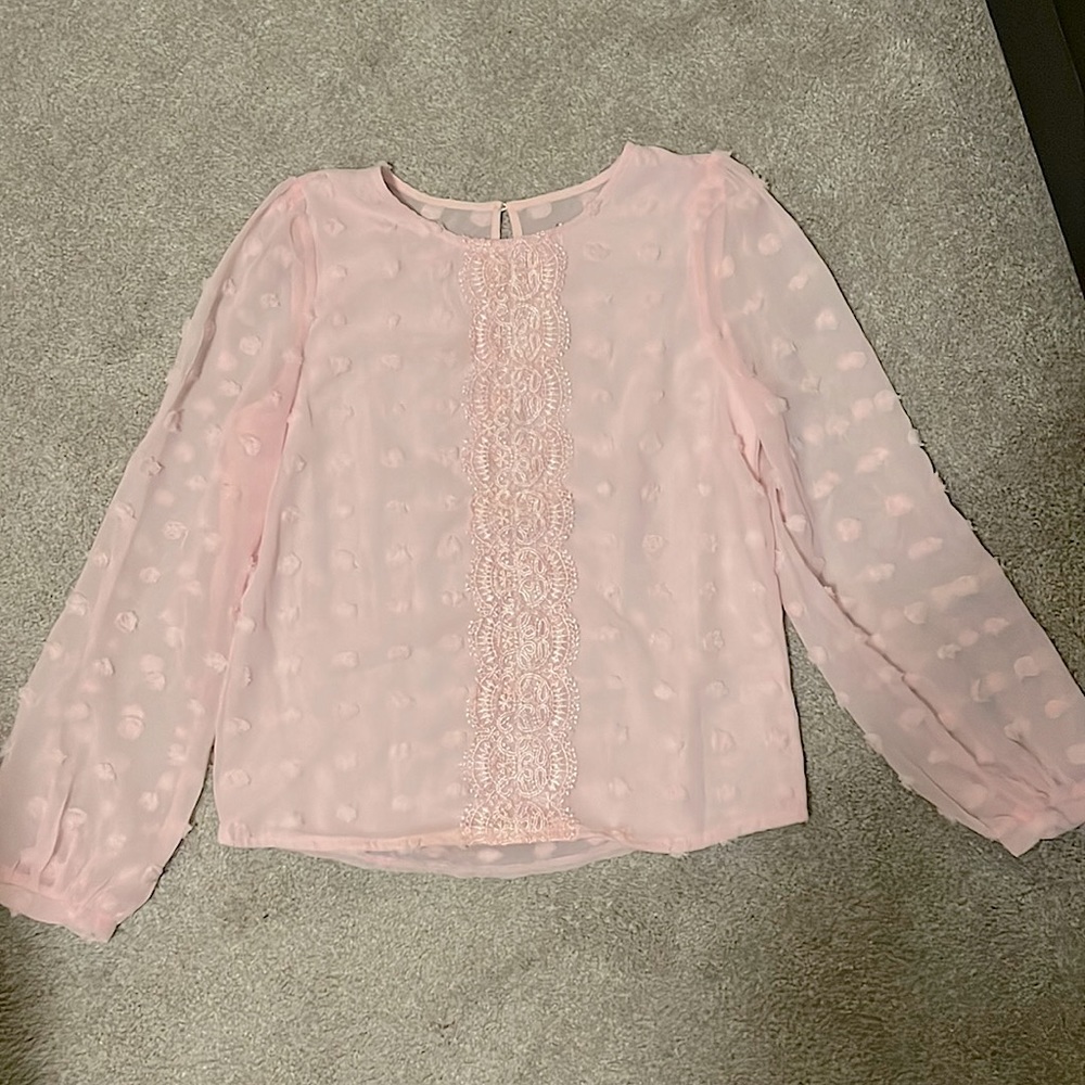 Light pink blouse. Lightly sheer front, fully sheer sleeves and back